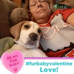 Meet your Posher, Cathy